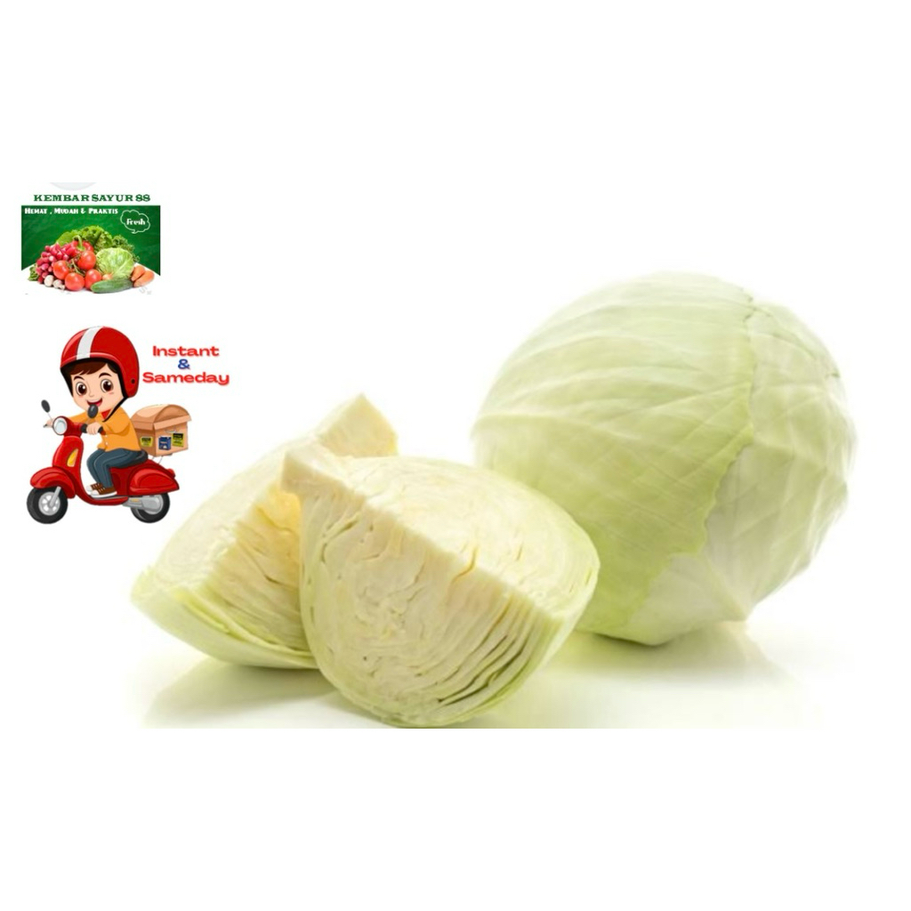 

Kol Putih / Kubis - Kembarsayur88