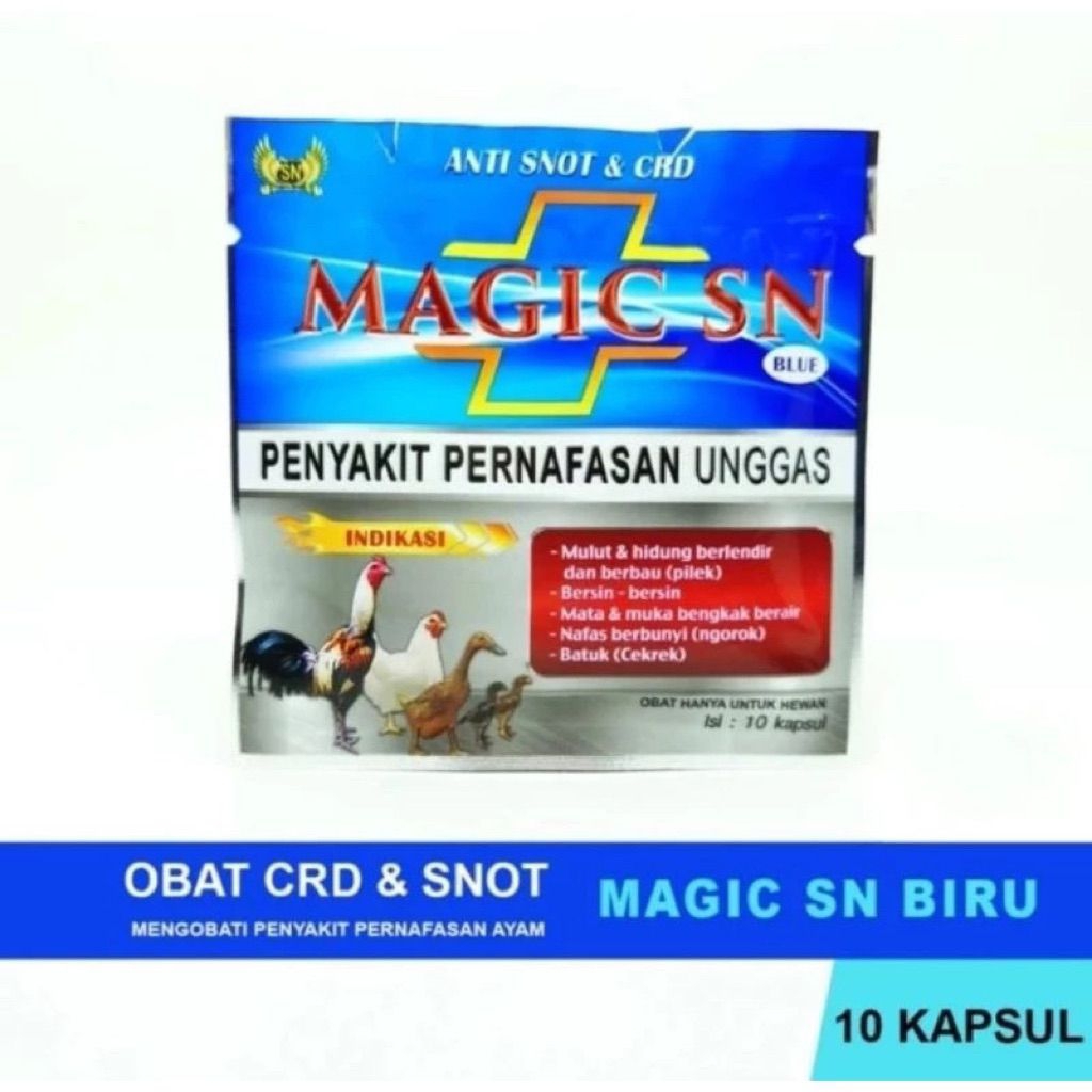 Magic SN Ayam Obat Untuk Penyakit Peranafasan