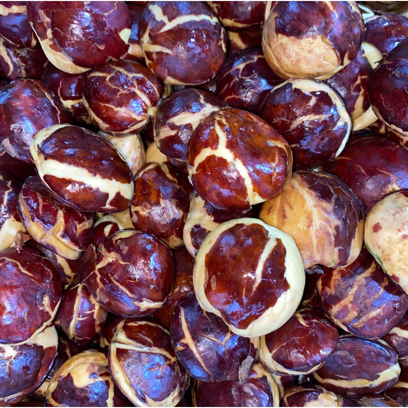 

JENGKOL TUA SUPER PREMIUM