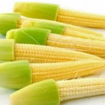 

jagung muda (soleng) 250gram