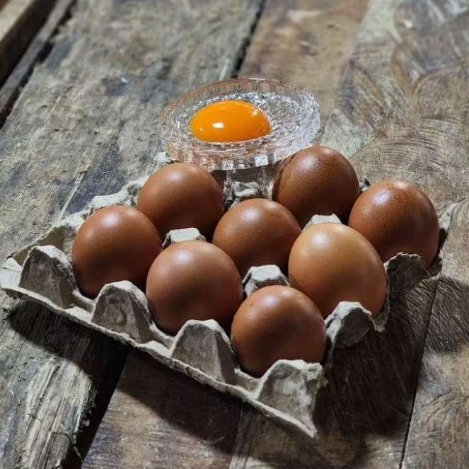 

Telur Negeri Omega Premium isi 10pcs tinggi DHA omega 3 6 dan 9 bagus untuk anak2 dan orang tua, natural