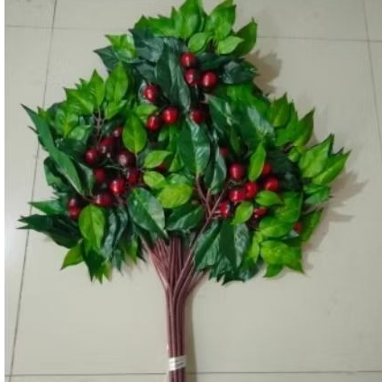 

Daun buah...cerry..lecy..jeruk harga perlusin