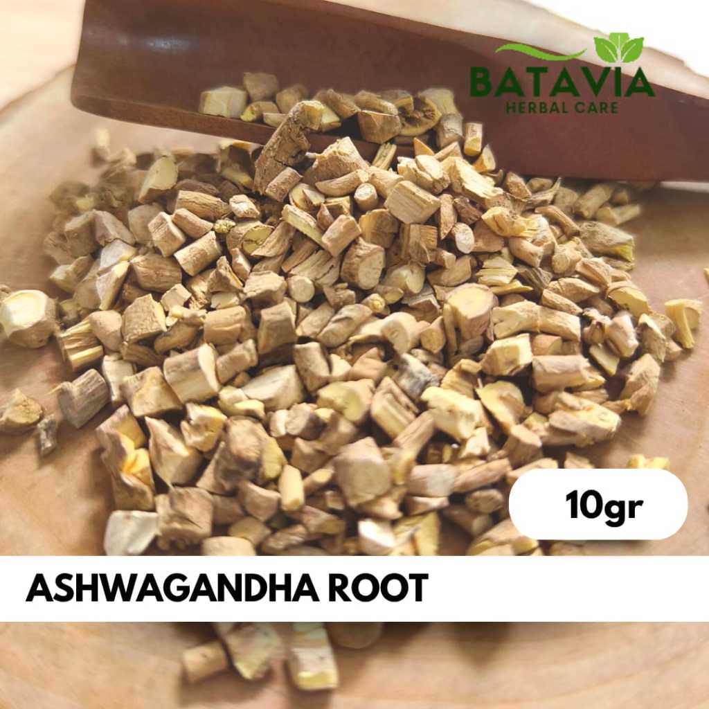 

Ashwagandha Root Tea Teh Akar Ashwagandha Ginseng India Herbs Time
