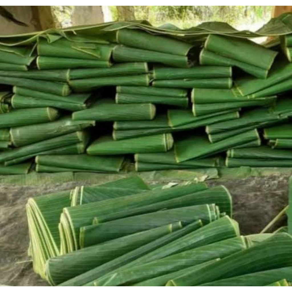 

daun pisang batu cocok untuk bungkus makanan