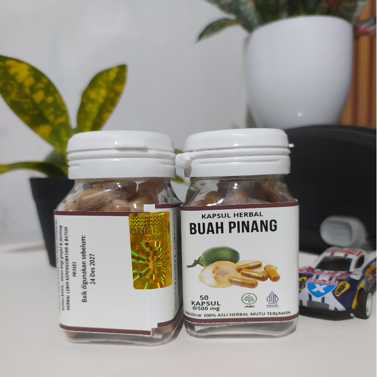 

Buah Pinang muda Murni 100% isi 50 butir