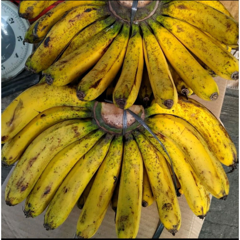 

Pisang Barangan