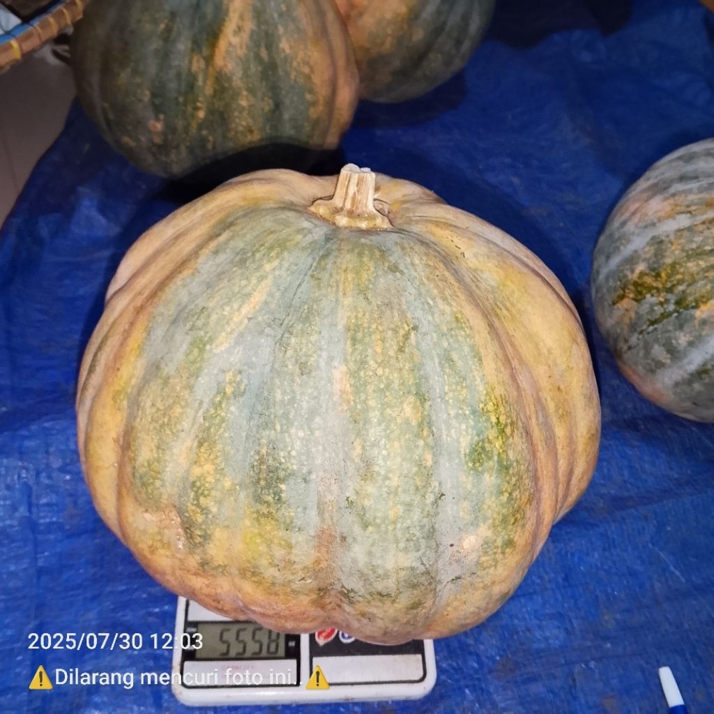 

[Ready Stok] Buah - Labu Kuning - Berat 5,5 kg