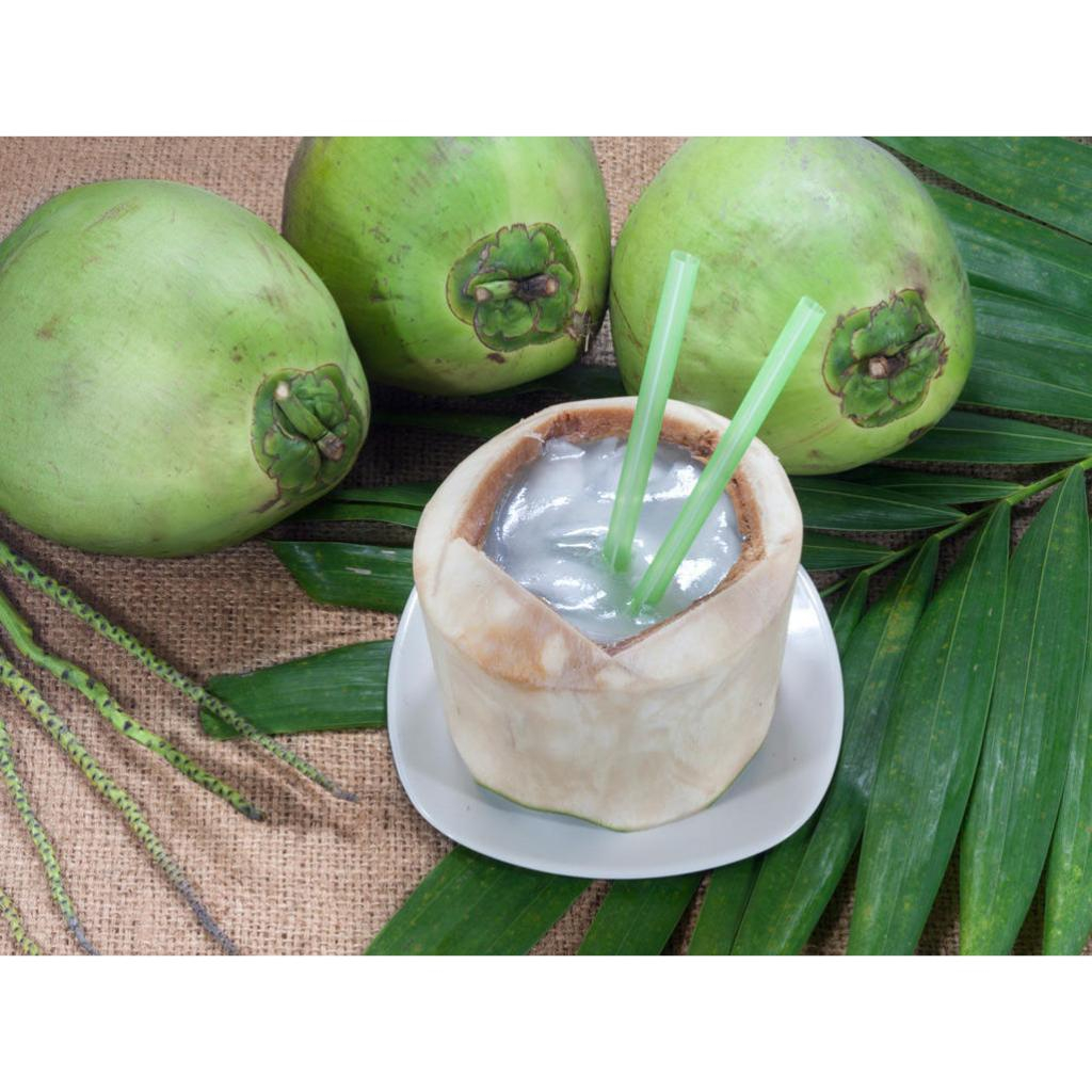 

Kelapa Muda 1pcs / Kelapa Muda Fresh 100% Seger