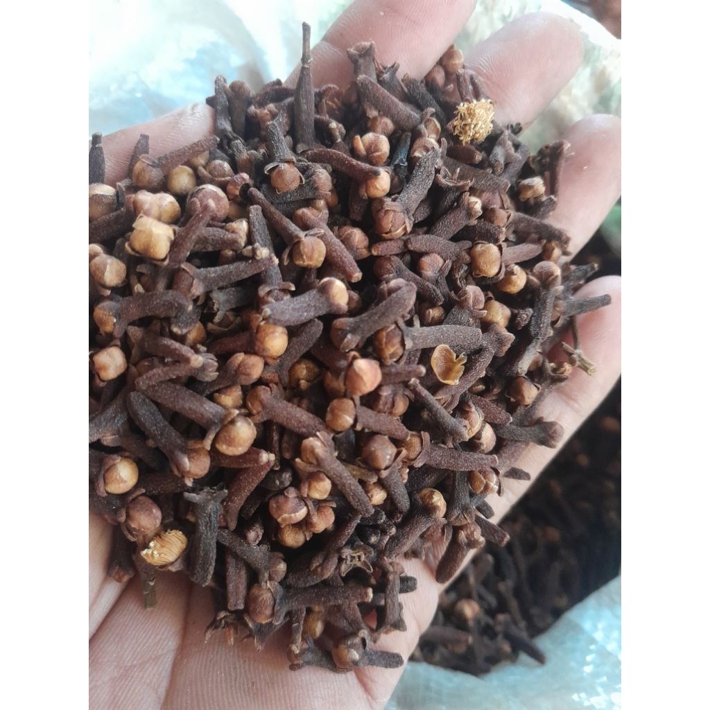 

Bunga cengkeh kering bumbu masakan 100 gram