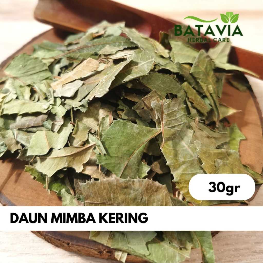 

Daun Mimba Kering Daun Intaran Neem Leaf Azadirachta indica Herbal Simplisia Premium