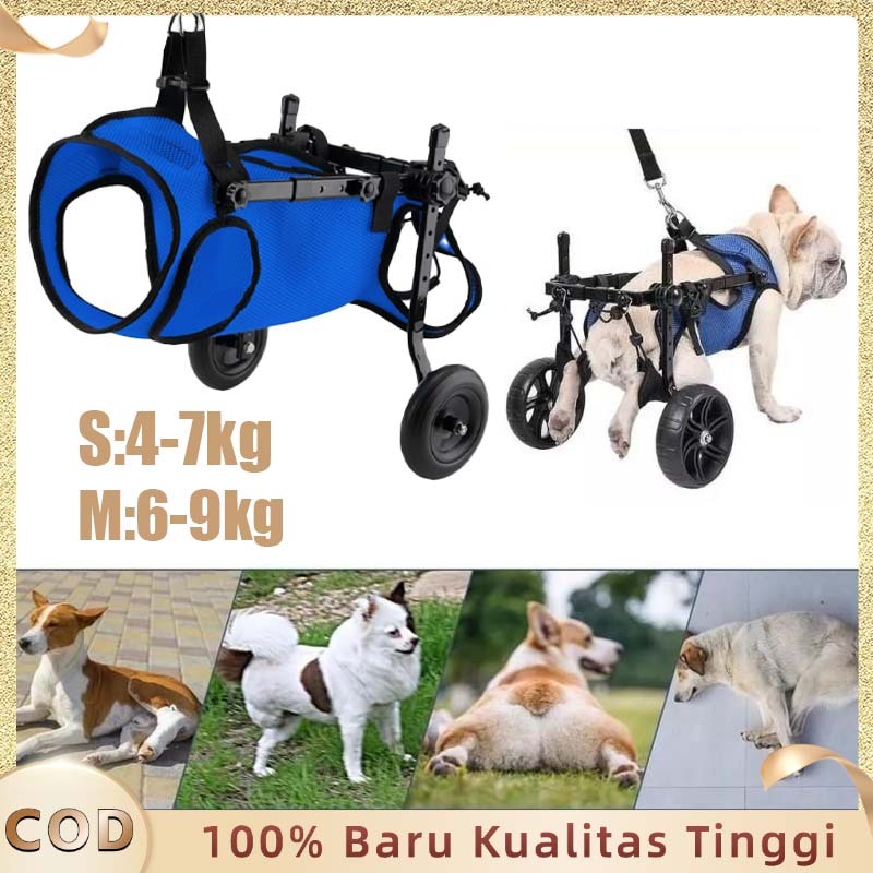 Kursi Roda Untuk Kucing Kursi Roda Kucing Lumpuh Kursi Roda Alat Mobilitas Anjing 2 Wheel Pet Wheelc
