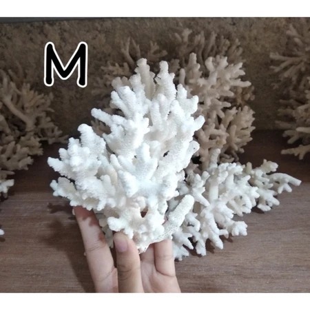 

⚡TOK READY !!! Hiasan reprika batu karang anemon laut coral natural dekorasi aquariuaquascape