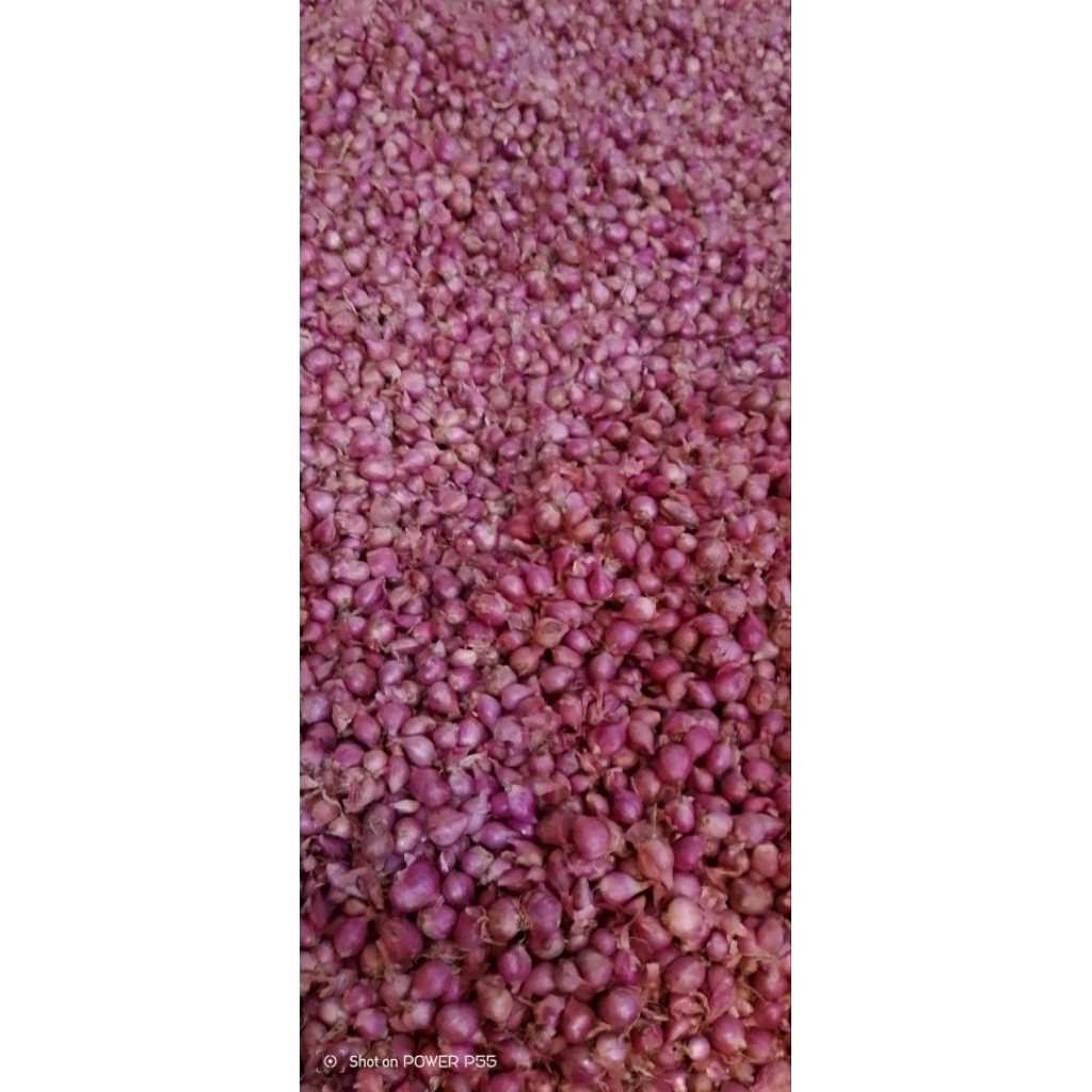

bawang merah kecil lembut(gerusan)1kg lokal nganjuk