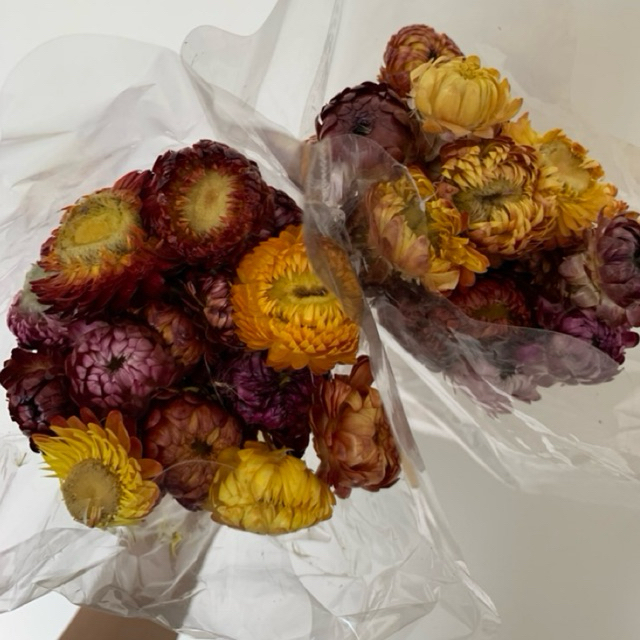 

Handmade Stevia Preserved Fower premoum import