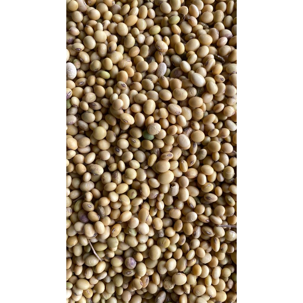 

Kacang Kedelai Siap Olah 500gr / 1kg