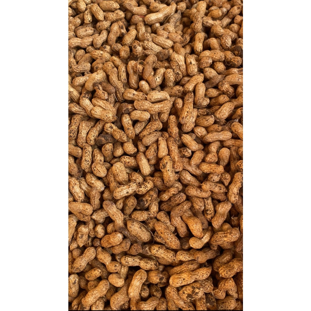 

Kacang Tanah Kulit Mentah Kering 500gr/1kg