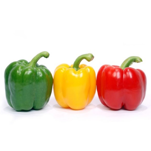 

Paprika Segar/Cabai Besar Paprika/Paprika Merah/Paprika Hijau/Paprika Kuning/Paprika Orange/Bell Pepper/Fresh Capsicum/1 Kg