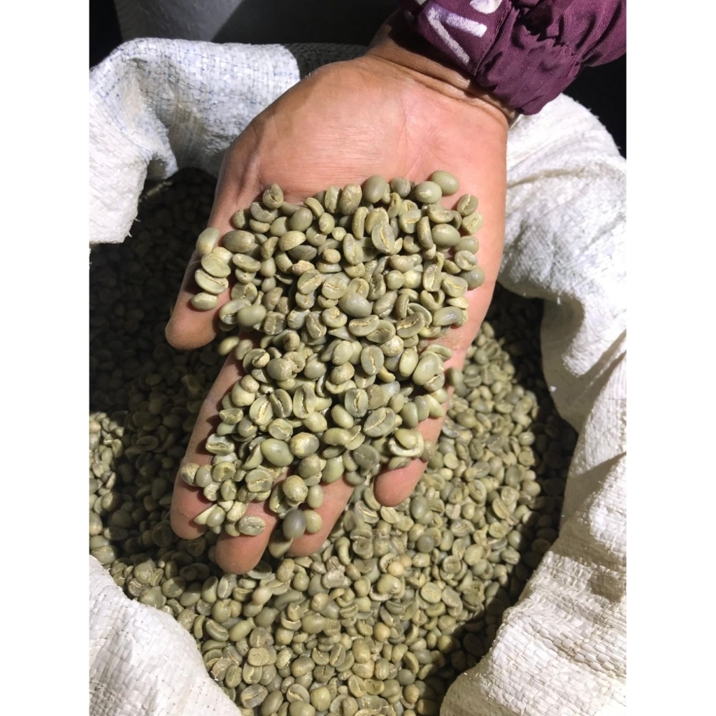 

Green Bean Arabika Garut Jawa Barat Fullwash