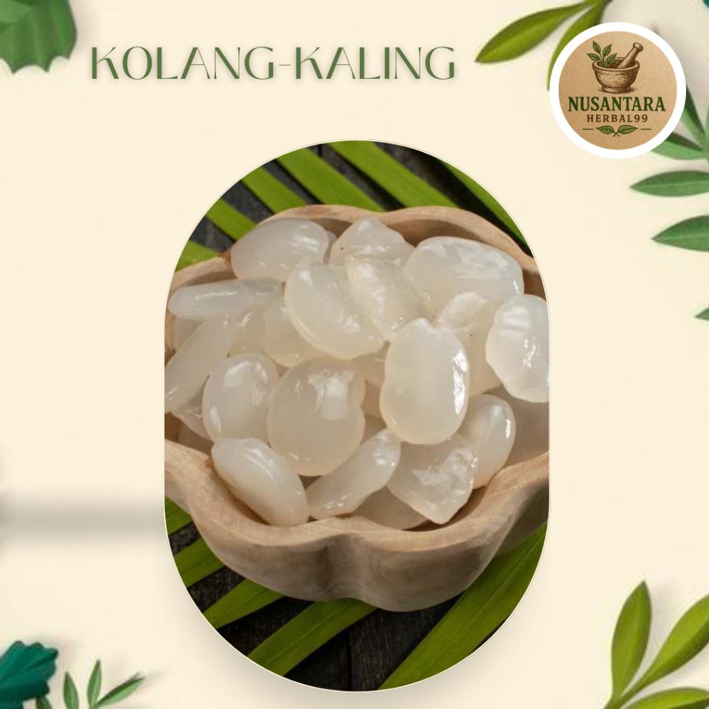 

Promo kolang-Kaling fresh 1kg