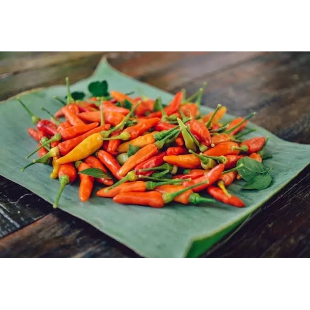 

cabai rawit merah segar 500g