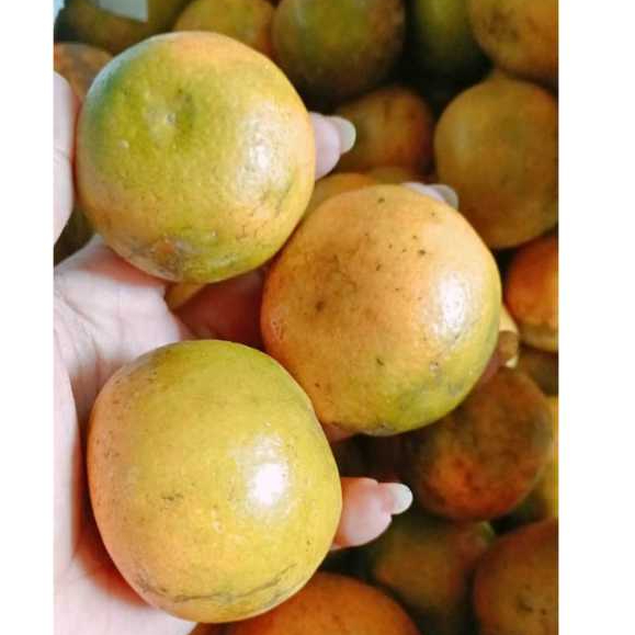 

buah jeruk manis dan segar(500gr dan 1000gr)di jamin fress dengan kualitas premium