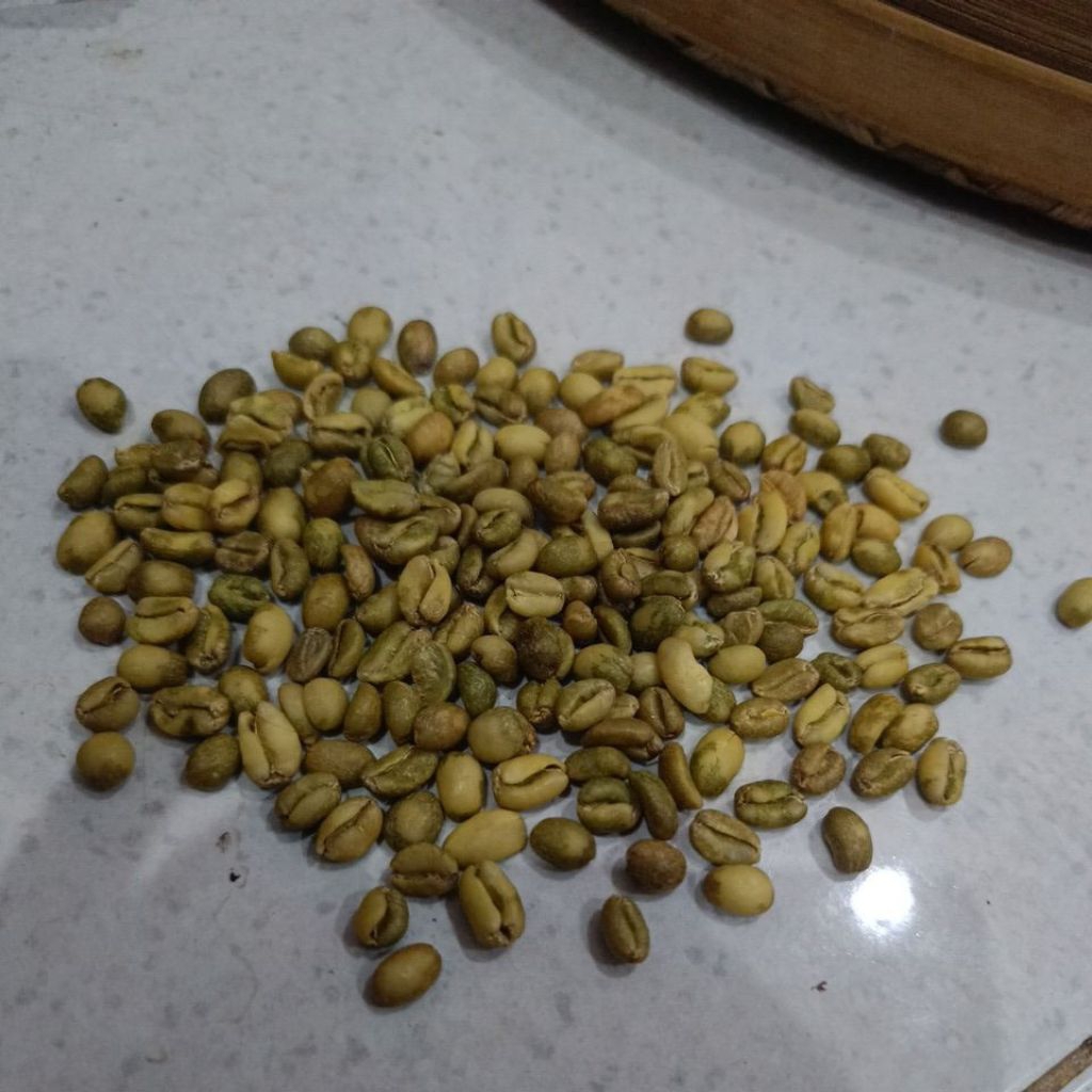 

biji mentah kopi Excel