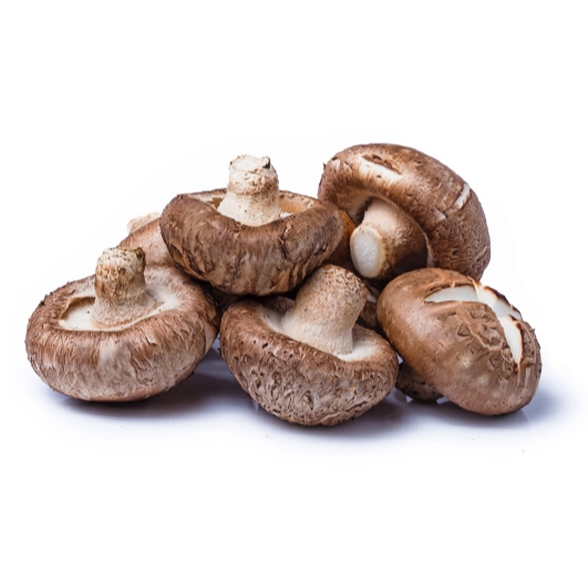 

Jamur Shitake Curah/Shiitake Mushroom/Shiitake/Jamur Shitake Segar/Fresh Shiitake/5 Kg
