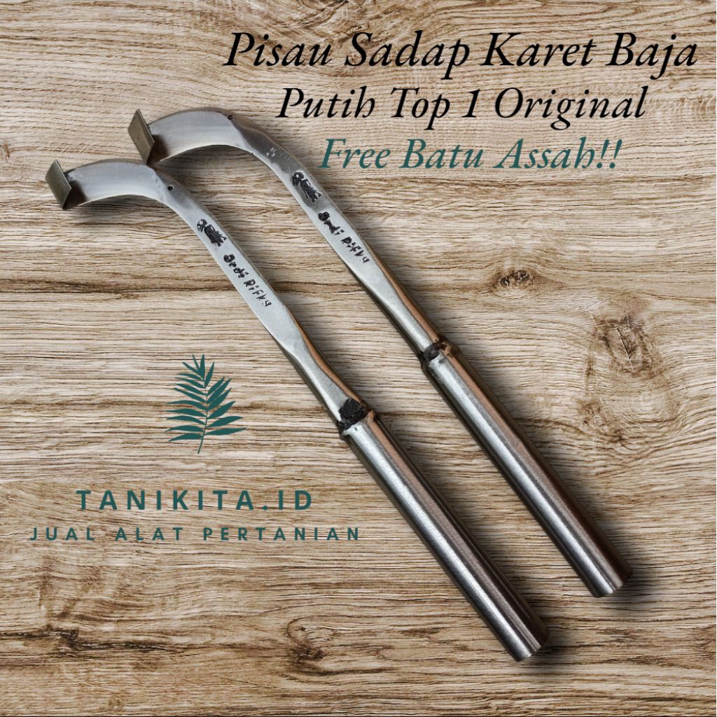 Pisau Sadap Karet Baja Putih No.1/Pisau Deres Karet Original/Alat Sadap Karet Kualitas A1 Siap Pakai