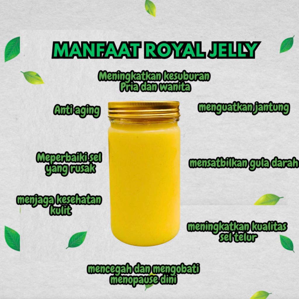 

Royal Jelly Asli 100 % , Pengiriman Menggunakan Es Gel Agar Tetap Dingin