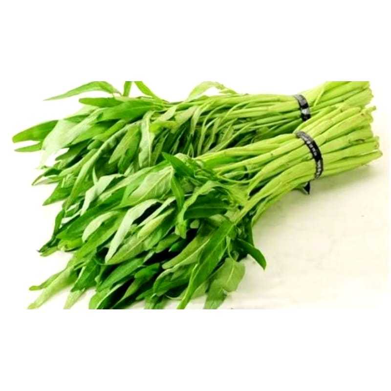 

SAYUR KANGKUNG FRESH PER IKAT / SAYUR SEGAR KANGKUNG READY TIAP HARI