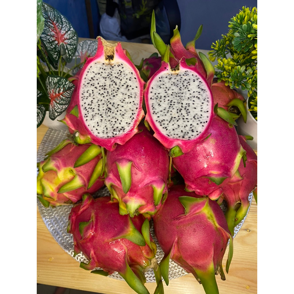 

Buah Naga Putih Fresh 1 kg - Dragon Fruit White Fresh untuk Diet Segar dan Natural