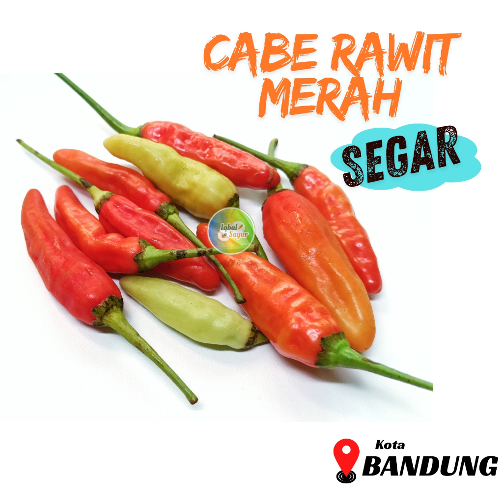 

Cabe Rawit Merah / Cengek Domba Segar Bandung