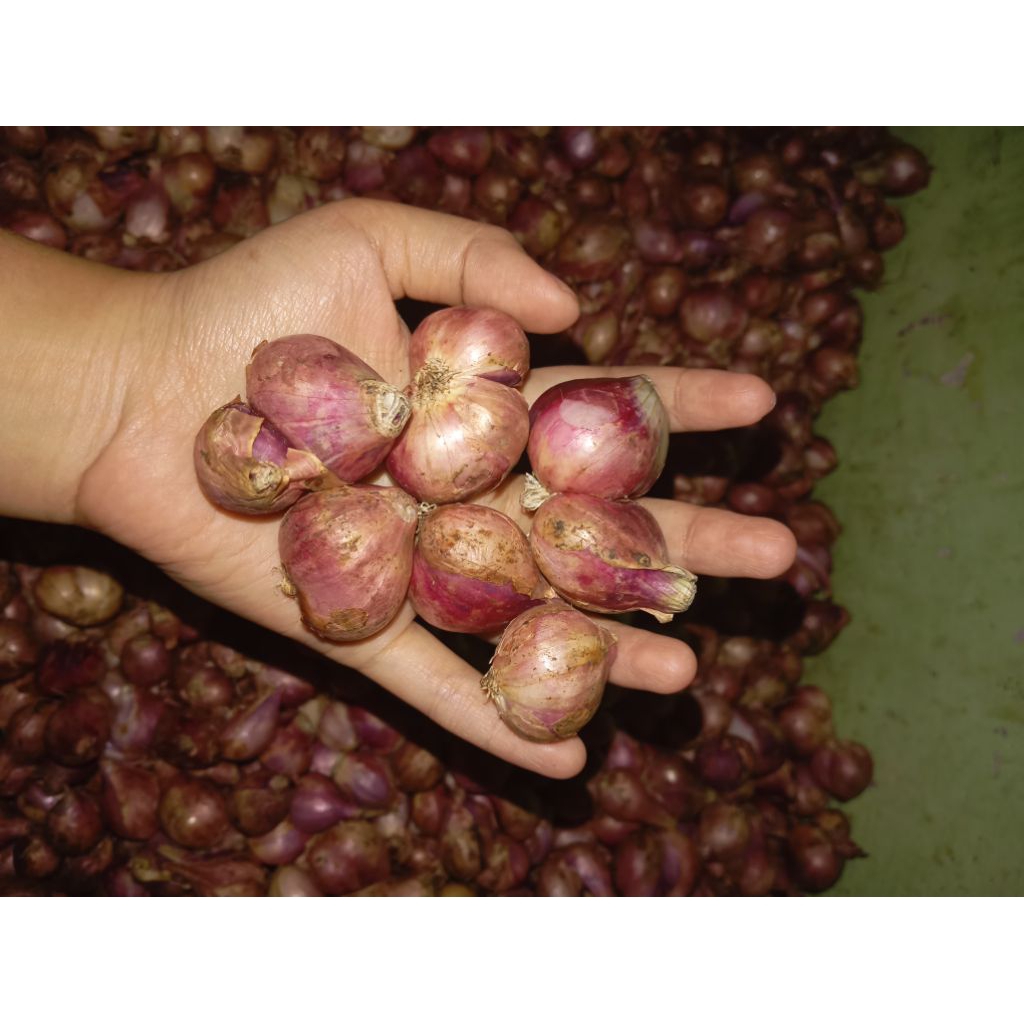 

Bawang Merah 500gr Seger Super