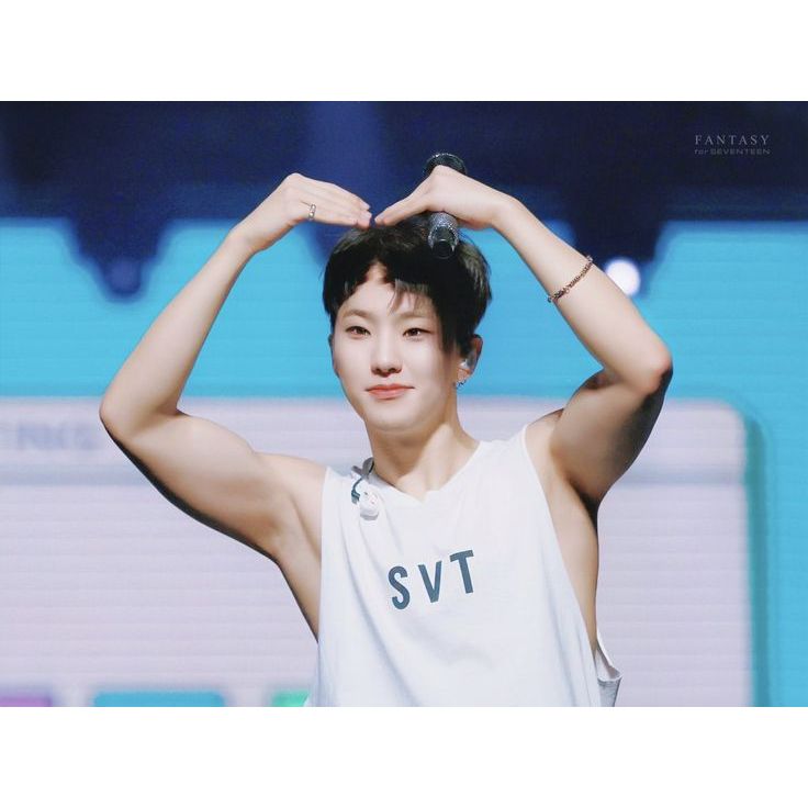 Kaos Be The Sun Merch North Aerica Jakarta Singapore Hoshi