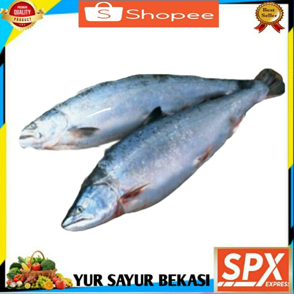 

Ikan Salmon Lokal Fresh.