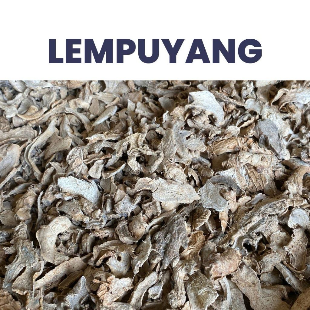 

Lempuyang Kering dan Bubuk 100 Gram - Rempah dan Herbal Tradisional untuk Masakan dan Jamu