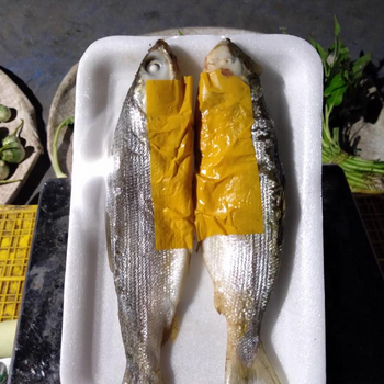 

Pindang bandeng | pindang bandeng presto | Pindang Deles | pindang tongkol |JBP_Fresh