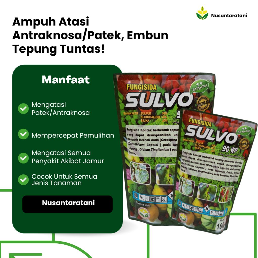 Fungisida Tanaman SULVO - ANTI PATEK, JAMUR, DAN EMBUN DAUN. SEMUA TANAMAN CABE, MELON, SEMANGKA, TE