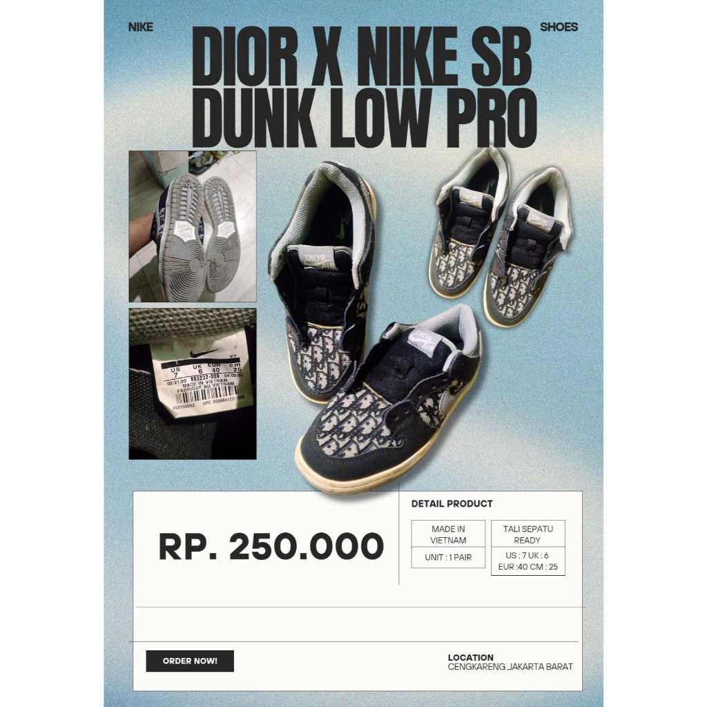 sepatu pria dior x nike SB dunk low pro ( preloved )