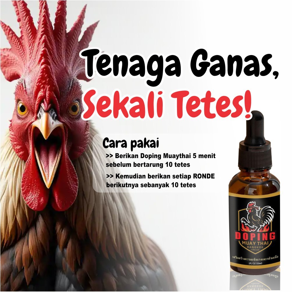 Jamu Doping Ayam Aduan Ganas Muay Thai Bangkok Asli Thailand