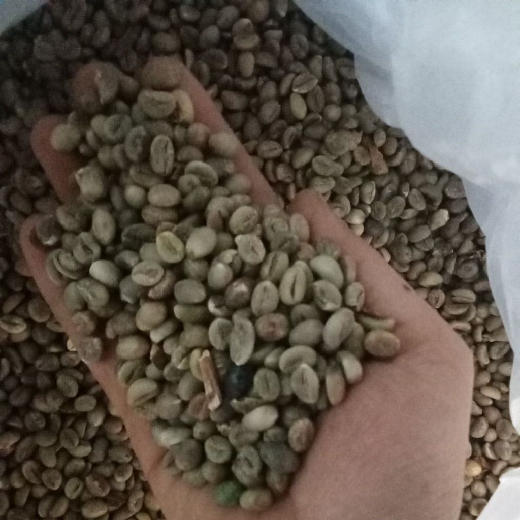 

Grosir Biji Kopi Asalan Robusta Temanggung 5 KG
