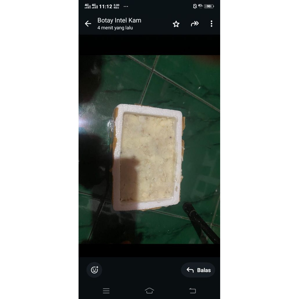 

ambergris muntahan ikan paus per gram