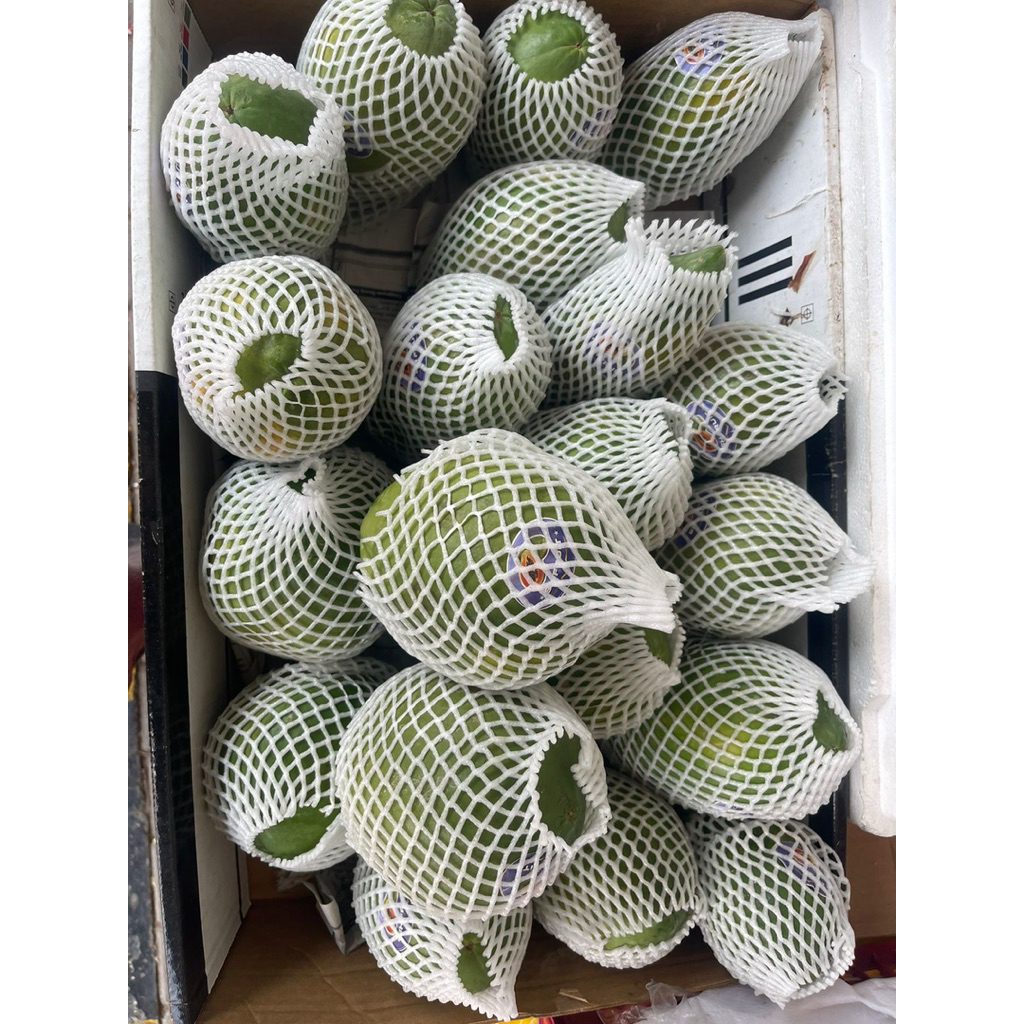 

Pepaya Hawai Madu | Super Manis & Segar | Ukuran Jumbo & Grade Premium 1kg