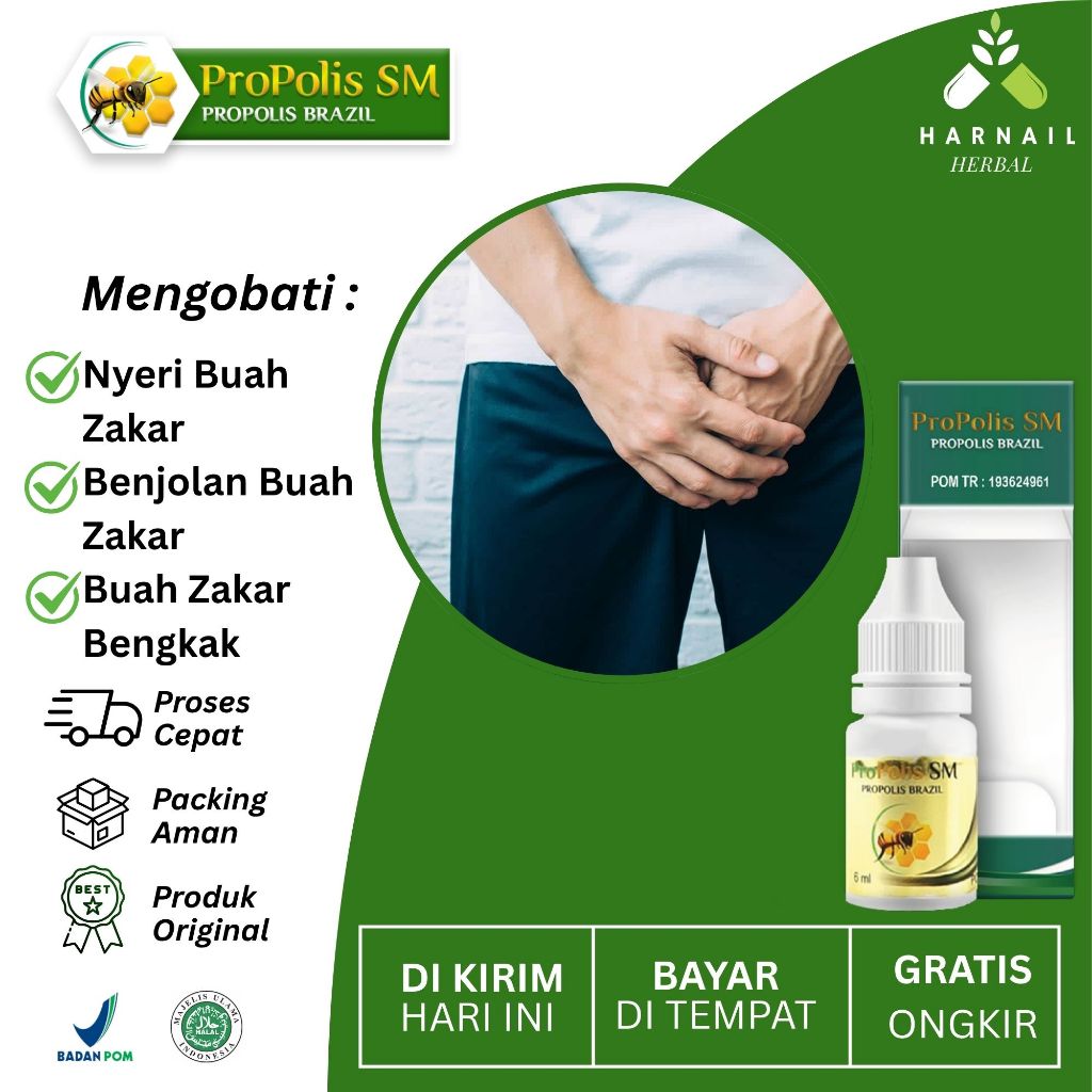 Obat Untuk Nyeri Buah Zakar Benjolan Buah Zakar Buah Zakar Bengkak Dengan Propolis Sm Herbal Alami
