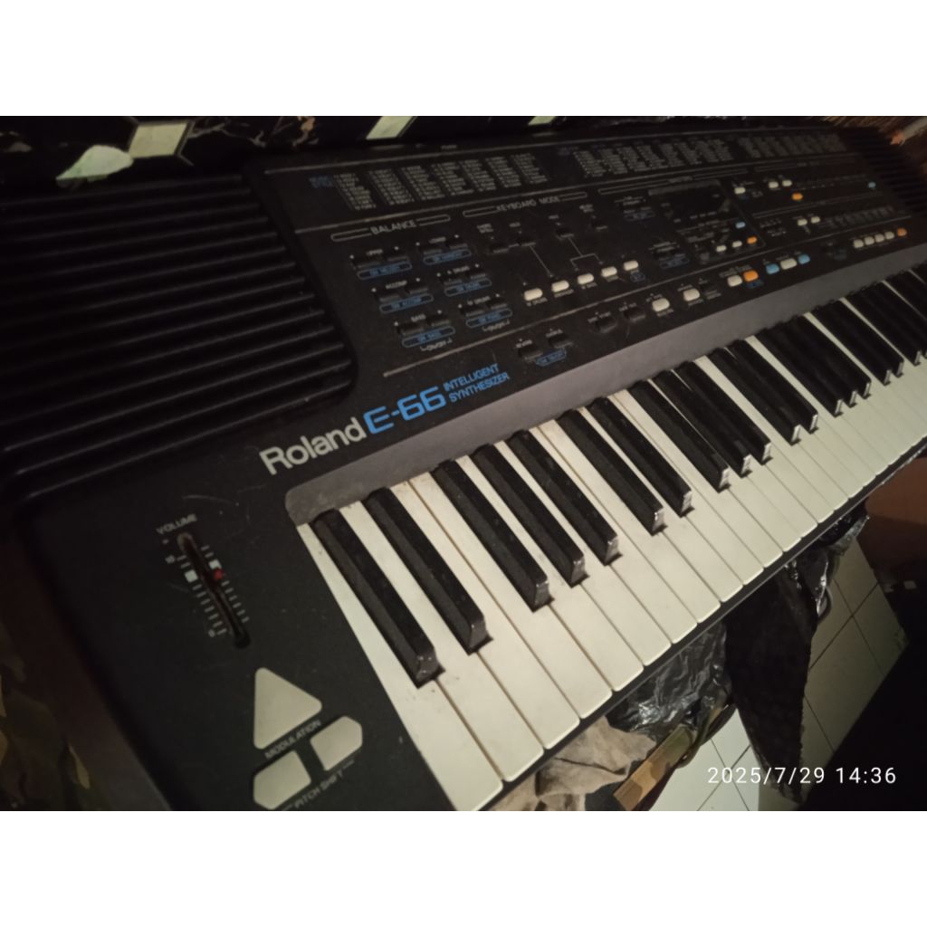 orgen roland e66
