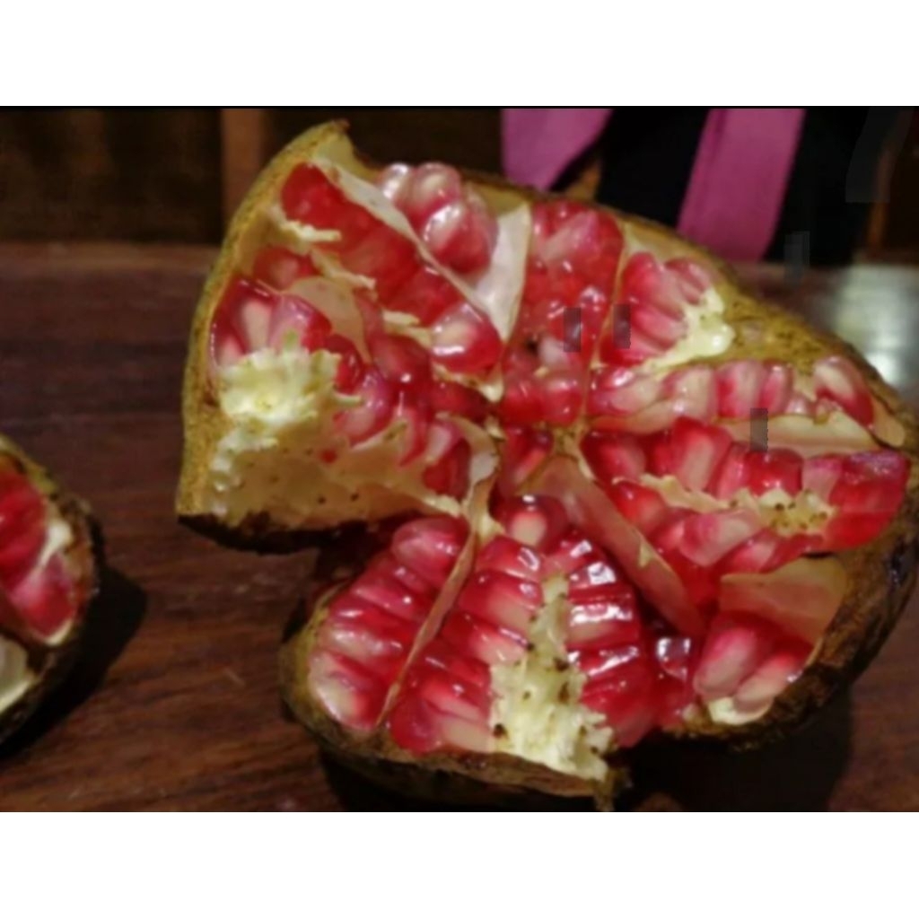 

buah delima merah asli 1kg buah delima mateng TERMURAH