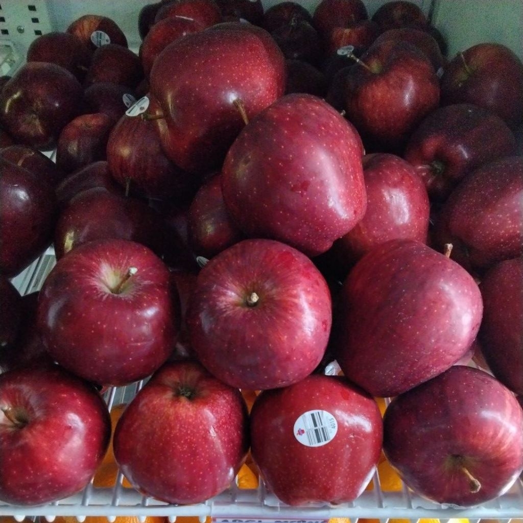 

Buah Segar Apel Merah Manis Fresh Kualitas Hotel Bintang 5