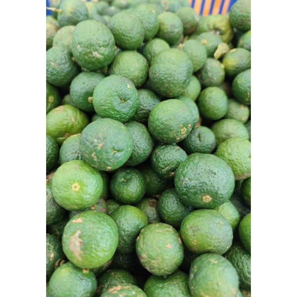 

jeruk limo/ jeruk sambel 1kg