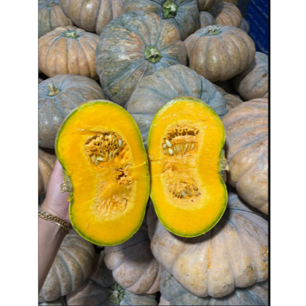 

1 Kg Labu Kuning Manis / Buah Waluh Besar Supreme