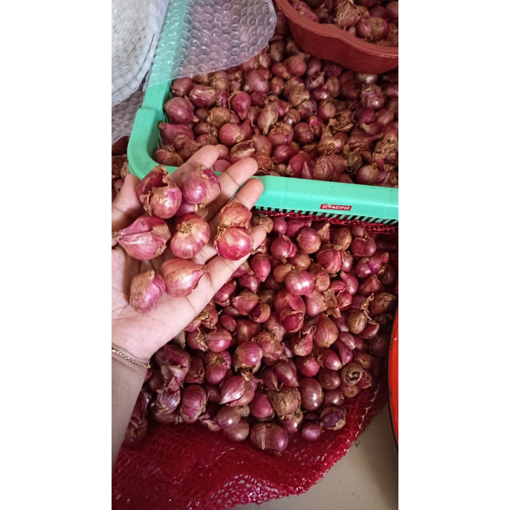 

ready siap kirim bawang merah kering tanggung besar 1000gr